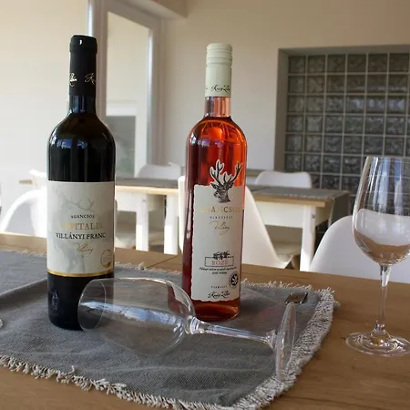 Bed & Breakfast Naturella Panzio Villany