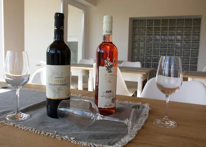 Bed & Breakfast Naturella Panzio Villany